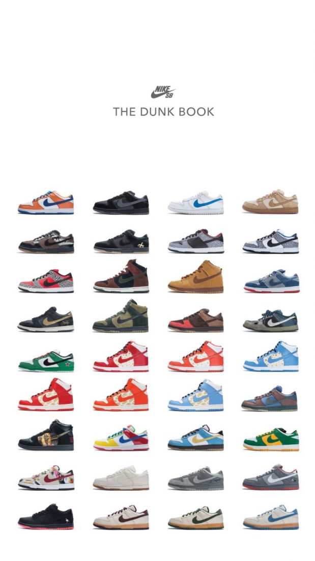 nike 2010 dunks